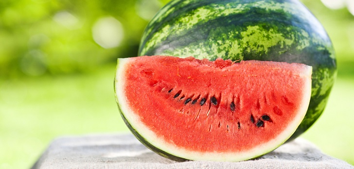 Procurement of watermelons for the winter