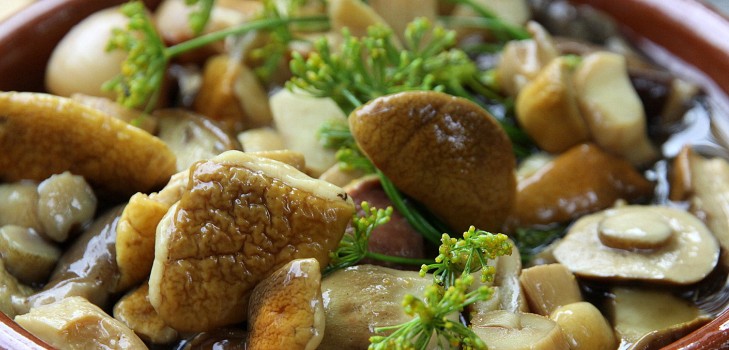 White mushrooms: recipes for cooking delicious dishes