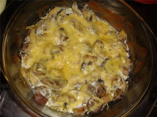 White mushrooms: recipes for cooking delicious dishes