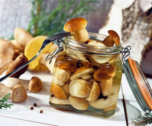 White mushrooms: recipes for cooking delicious dishes