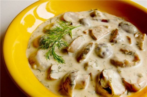 White mushrooms: recipes for cooking delicious dishes