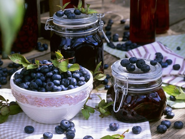 Blueberry recipes for the winter Blueberry recipes for the winter