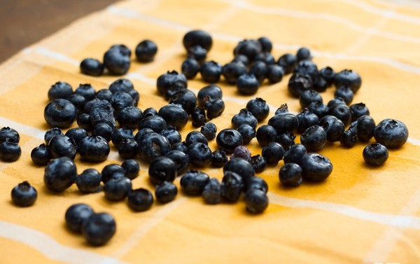 Blueberry recipes for the winter