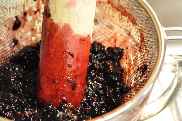 Blueberry recipes for the winter