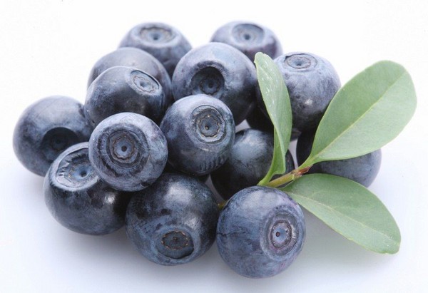Blueberry recipes for the winter
