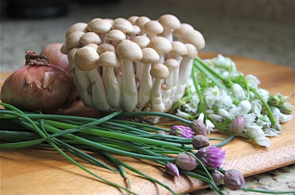 What to cook from honey?