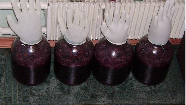 Homemade cherry wine, a simple recipe with vodka, without yeast. How to make cherry wine at home with a glove
