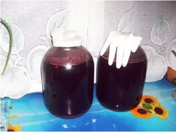Homemade cherry wine, a simple recipe with vodka, without yeast. How to make cherry wine at home with a glove