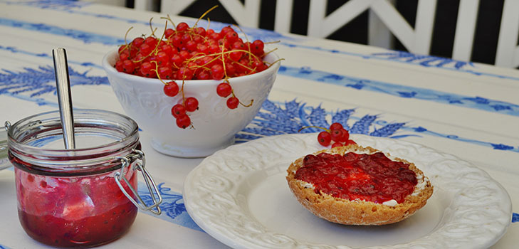 Red currant jam - recipes for the winter