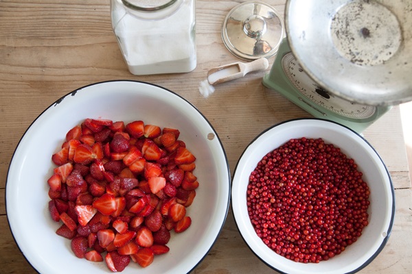 Red currant jam - recipes for the winter