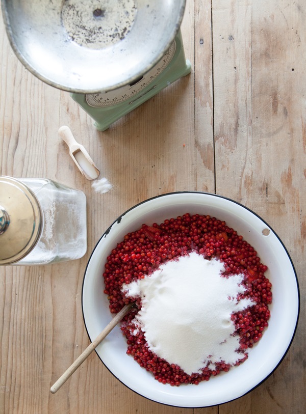 Red currant jam - recipes for the winter