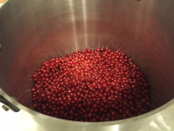 Red currant jam - recipes for the winter