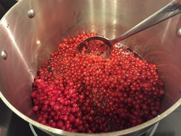 Red currant jam - recipes for the winter
