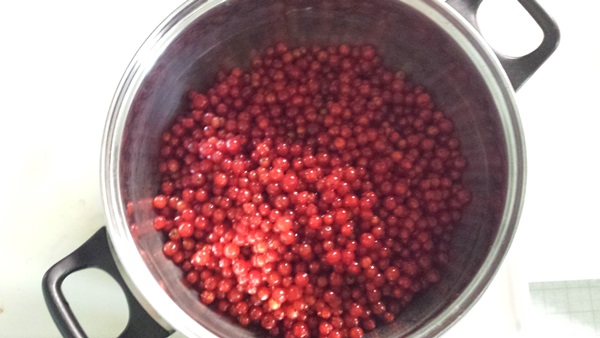 Red currant jam - recipes for the winter