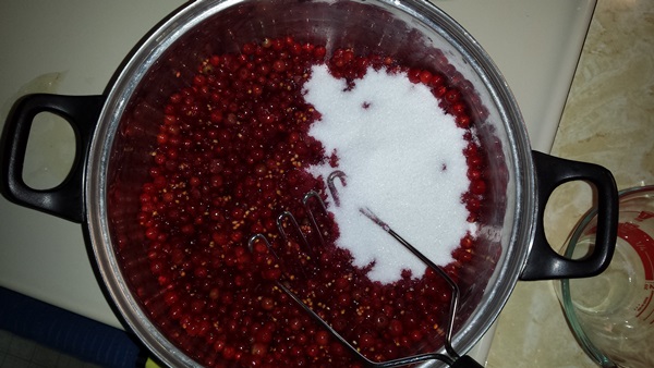 Red currant jam - recipes for the winter