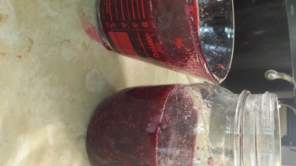 Red currant jam - recipes for the winter