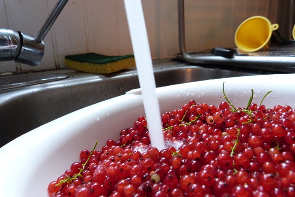 Red currant jam - recipes for the winter
