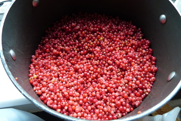 Red currant jam - recipes for the winter