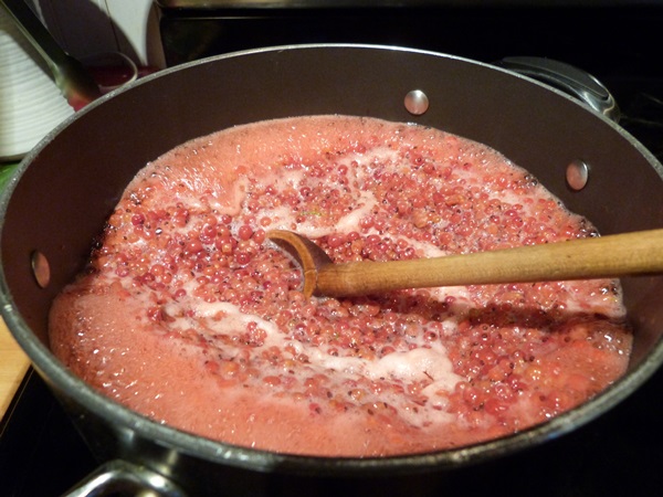 Red currant jam - recipes for the winter