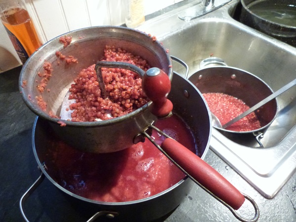 Red currant jam - recipes for the winter