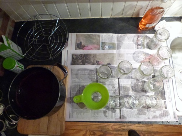 Red currant jam - recipes for the winter