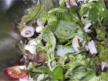 Lovely, light salad in the Mediterranean style 