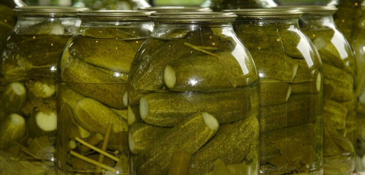 Crispy cucumbers for the winter - pickled, without vinegar, without sterilization. The best simple recipes with photos of crispy cucumbers in cans with vodka Crispy cucumbers for the winter - pickled, without vinegar, without sterilization. The best simple recipes with photos of crispy cucumbers in cans with vodka