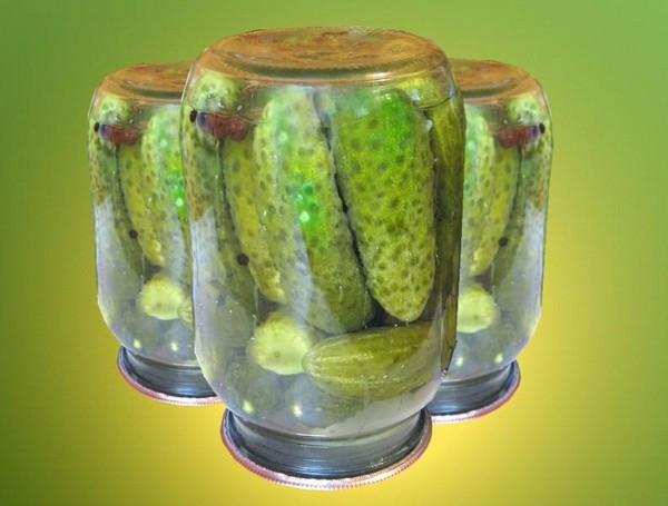 Crispy cucumbers for the winter - pickled, without vinegar, without sterilization. The best simple recipes with photos of crispy cucumbers in cans with vodka