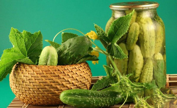 Crispy cucumbers for the winter - pickled, without vinegar, without sterilization. The best simple recipes with photos of crispy cucumbers in cans with vodka Crispy cucumbers for the winter - pickled, without vinegar, without sterilization. The best simple recipes with photos of crispy cucumbers in cans with vodka