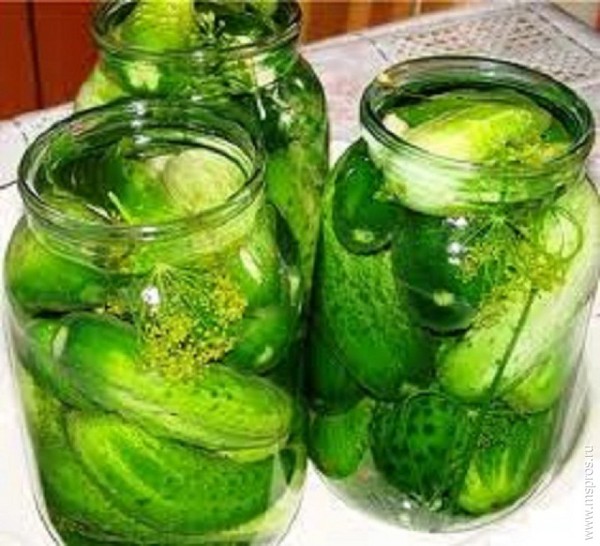 Crispy cucumbers for the winter - pickled, without vinegar, without sterilization. The best simple recipes with photos of crispy cucumbers in cans with vodka
