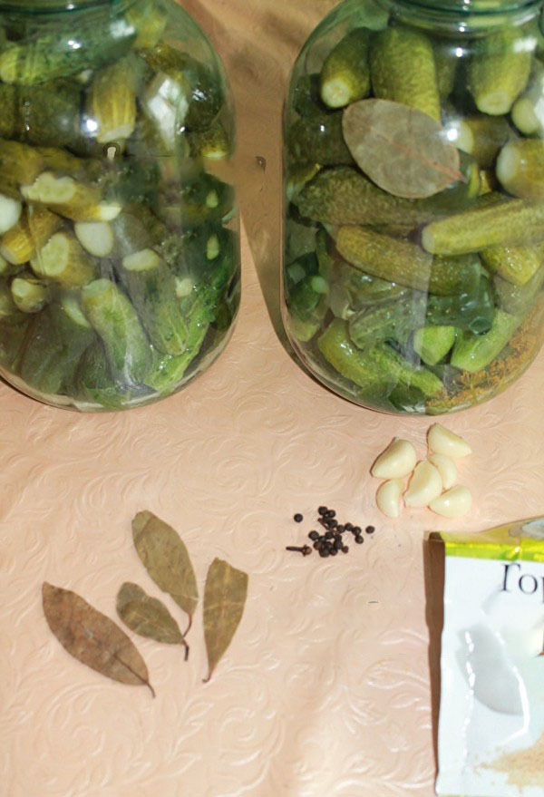 Crispy cucumbers for the winter - pickled, without vinegar, without sterilization. The best simple recipes with photos of crispy cucumbers in cans with vodka