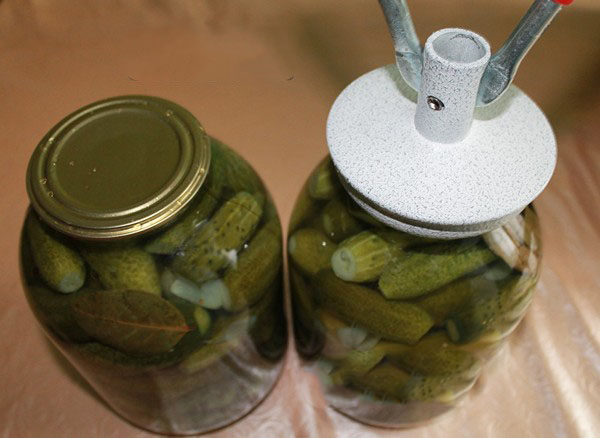 Crispy cucumbers for the winter - pickled, without vinegar, without sterilization. The best simple recipes with photos of crispy cucumbers in cans with vodka