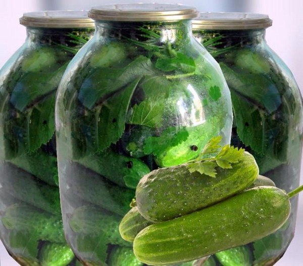 Crispy cucumbers for the winter - pickled, without vinegar, without sterilization. The best simple recipes with photos of crispy cucumbers in cans with vodka Crispy cucumbers for the winter - pickled, without vinegar, without sterilization. The best simple recipes with photos of crispy cucumbers in cans with vodka