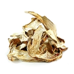 How to store dried mushrooms