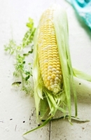 How to preserve corn for winter at home