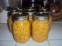 How to preserve corn for winter at home - recipes