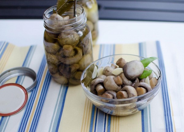 How to pickle mushrooms at home - recipes for the winter in banks