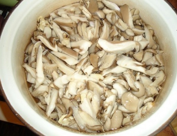 How to pickle mushrooms at home - recipes for the winter in banks