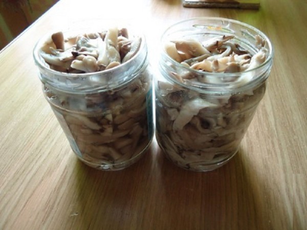 How to pickle mushrooms at home - recipes for the winter in banks
