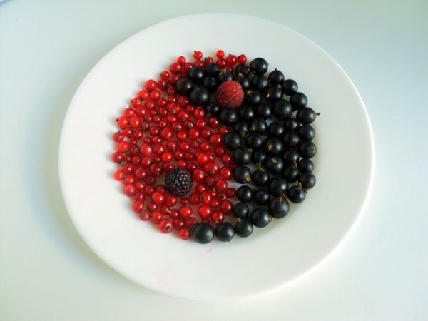 Beautiful serving and serving of fruits