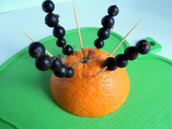 Beautiful serving and serving of fruits