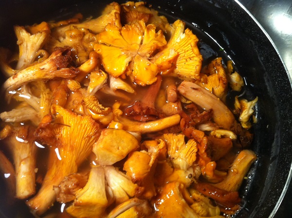 How to cook chanterelles in a frying pan