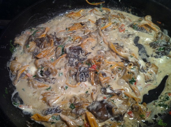 How to cook chanterelles in a frying pan