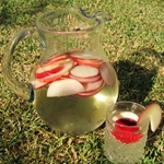 Photo of Sangria wine recipe