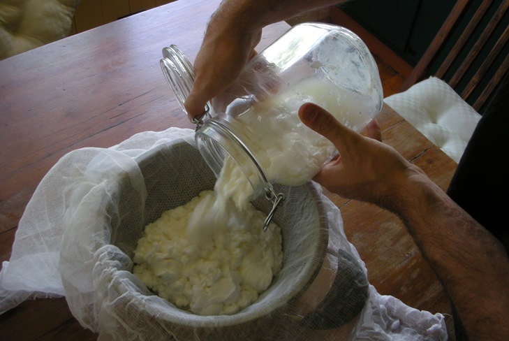 How to cook cottage cheese from milk at home How to cook cottage cheese from milk at home
