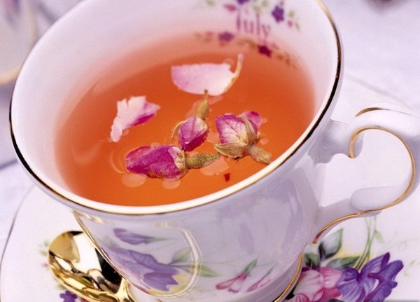 How to collect, dry and brew Ivan tea at home How to collect, dry and brew Ivan tea at home