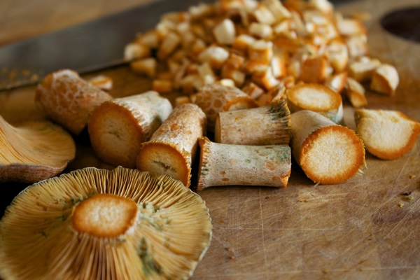 How to salt mushrooms for the winter