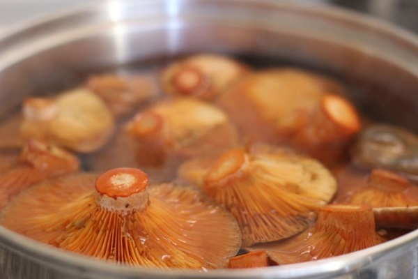 How to salt mushrooms for the winter
