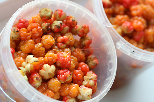 How to boil a cloudberry jam: a recipe with a photo