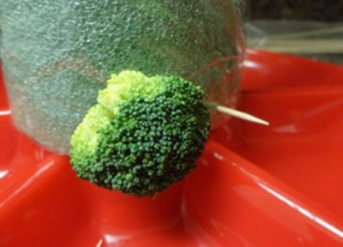  Disassemble cabbage on inflorescences
